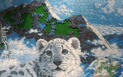13.10.2026 | NEU! Puzzletreff im Café wert.voll